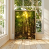 Neu! Fotografie Lichterschein Wald als Poster Druck