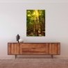 Neu! Fotografie Lichterschein Wald als Poster Druck