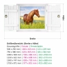 181 Wandtattoo Pferd Wiese im Fenster mit Fensterläden 500 x 250