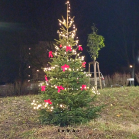 5 x rote Weihnachtsschleifen, Dekoschleife Aussen und Innen