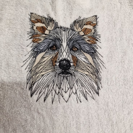 Border Collie - 12.68 x 13.84 cm