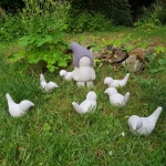 zwergundvogel